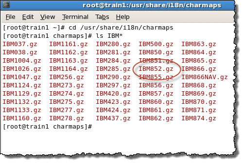 This screenshot shows the compressed IBM852 charmap in the /usr/share/i18n/charmaps directory on the Linux server.