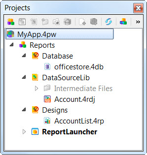Project view with report added.
